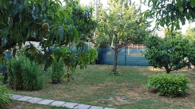Ilona Apartmanok Balatonboglár Exteriör bild